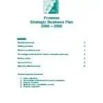 Prowess Business Plan