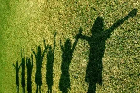 shadows