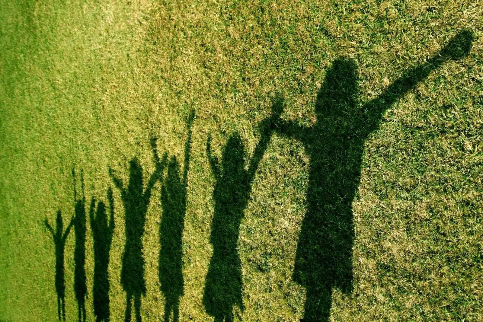 shadows