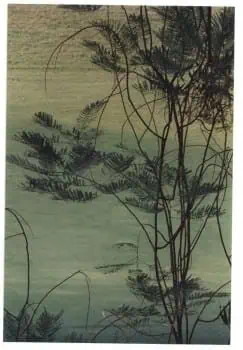 lake and trees