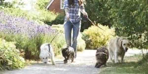 How to start with no money