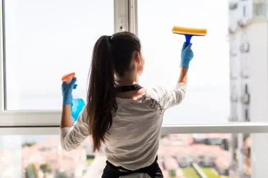 cleaner