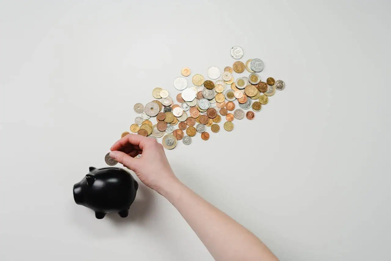 Business investment