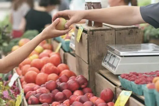 environmentally friendly food business