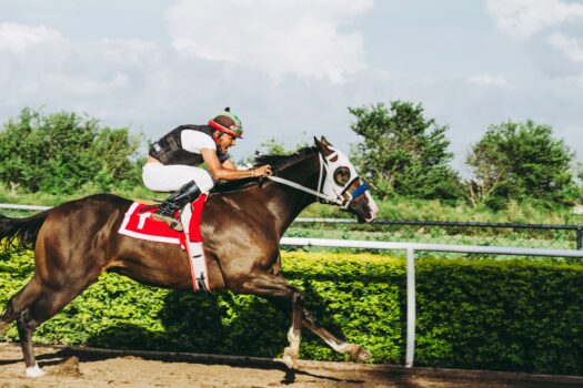 pexels jose ricardo barraza morachis 1462364 How Racehorse Ownership is now Open to People of all Budgets