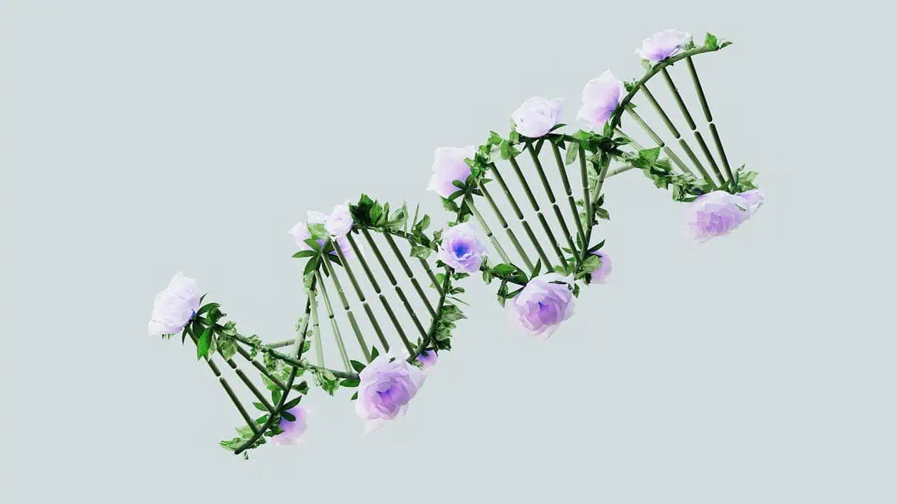 A DNA double helix model intertwined with delicate violet and purple flowers, symbolising the connection between genetics and nature, highlighting innovation in healthcare and genetic research.