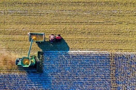 Harvesting wheat using modern combine harvester in a vast field, aerial view.
