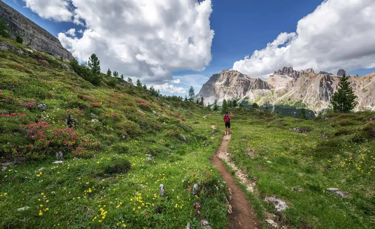 Bright mountain trail through lush green fields with wildflowers, leading towards rugged peaks under a partly cloudy sky, perfect for hiking and outdoor adventure.
