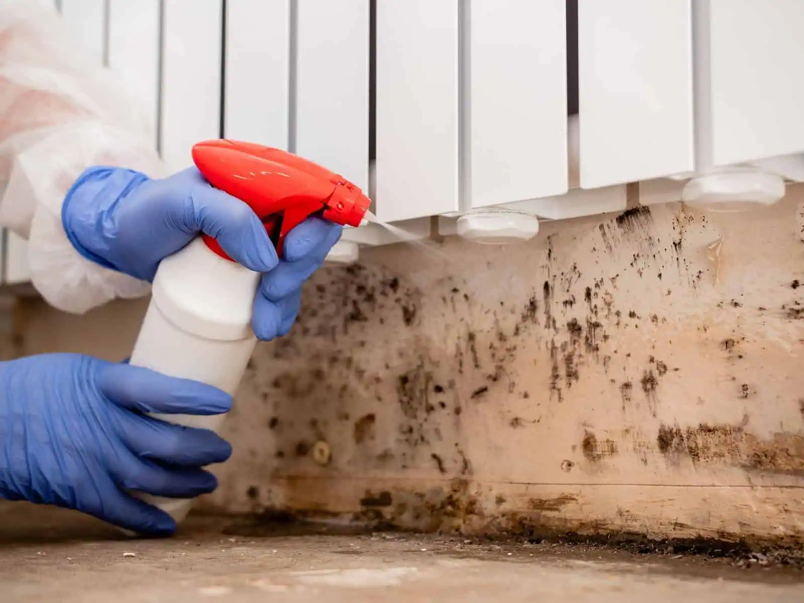 mould walls