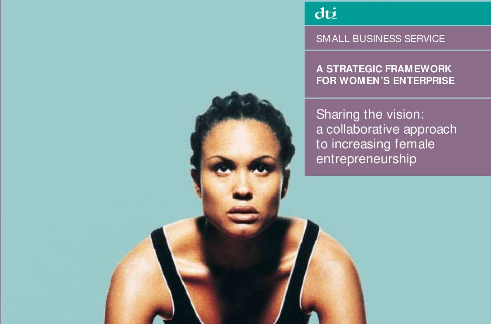 Strategic Framework Women's Enterprise