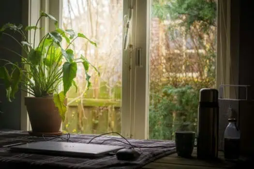 Laptop and coffee mug on window sill with view of autumn trees outside, home workspace, cosy indoor setting, natural light, peace and tranquillity, work from home, indoor gardening, relaxing environment.