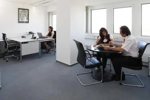 Office workspace with two women and a man working at desks, modern corporate environment, professional business setting, natural light from windows, clean and minimal decor, workplace productivity, teamwork, business professionalism, office interior design, employer and employee interaction.