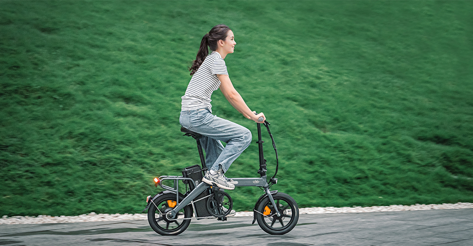 lightweight electric bike