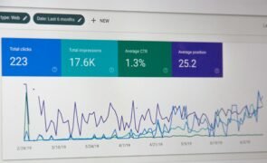 seo analytics