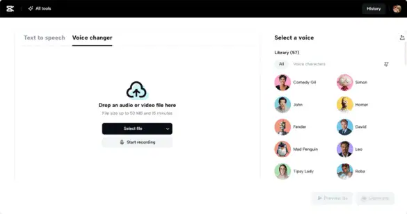 Accessible voice changer tool interface used for speech modification and recording on Prowess website.