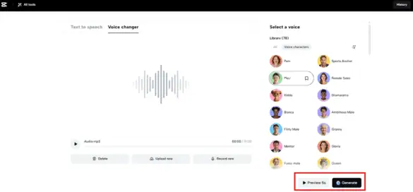 Accessible voice changer tool interface used for speech modification and recording on Prowess website.