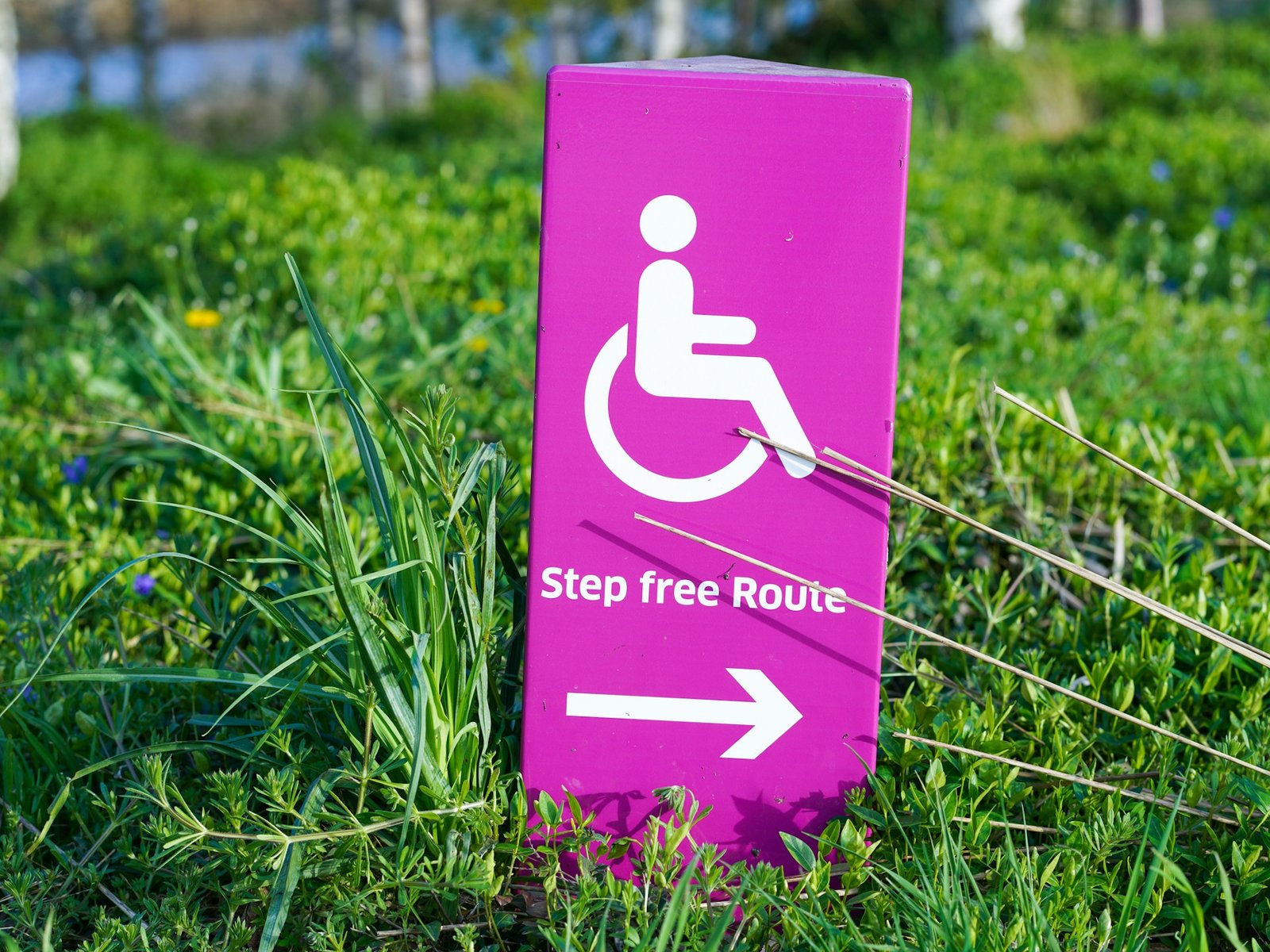 mobility access