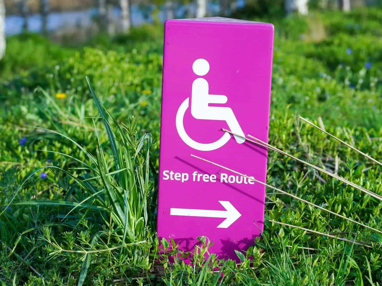 mobility access