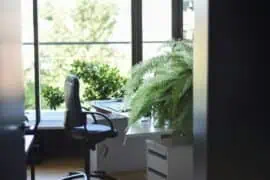 healthy workspace