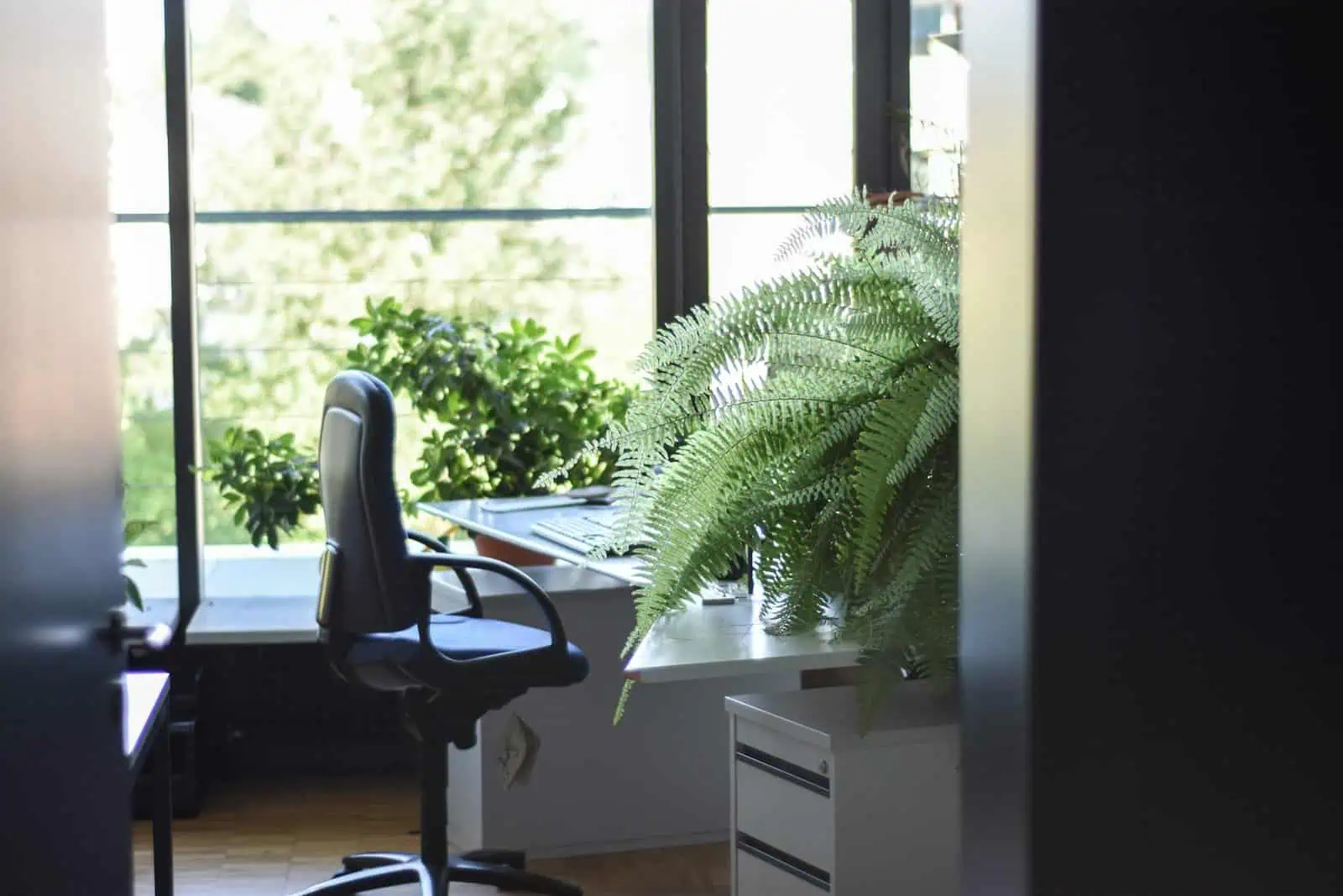 healthy workspace