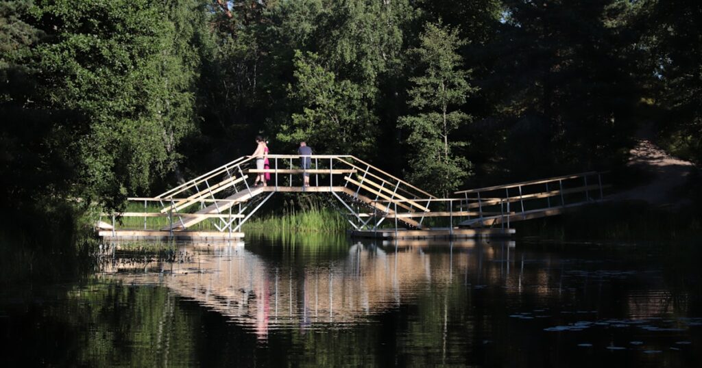 Wood bridge of the Alajõe River inst: niknovola