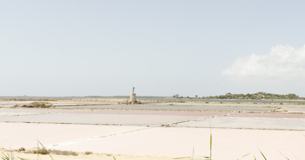 a person standing on a beach near a body of water