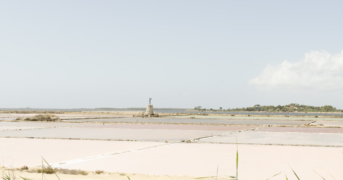 a person standing on a beach near a body of water